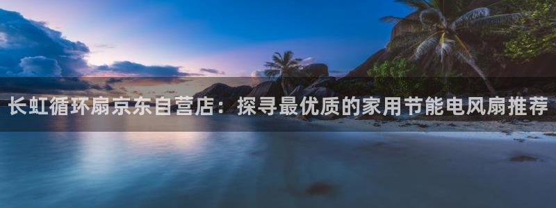 国际凯发k8真人版旗舰厅：长虹循环扇京东自营店：探寻最优质的家用节能电风扇推荐