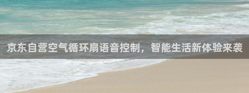 凯发k8国际app：京东自营空气循环扇语音控制，智能生活新体验来袭