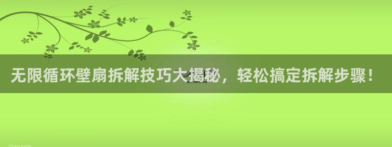 凯发旗舰网站：无限循环壁扇拆解技巧大揭秘，轻松搞定拆解步骤！