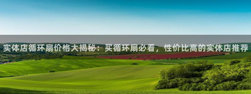 凯发app地址：实体店循环扇价格大揭秘：买循环扇必看，性价比高的实体店推荐
