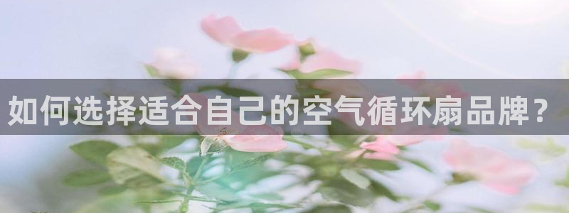 凯发k8手机网页：如何选择适合自己的空气循环扇品牌？