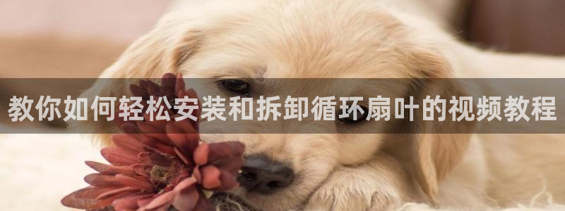 凯发k8登录首页：教你如何轻松安装和拆卸循环扇叶的视频教程