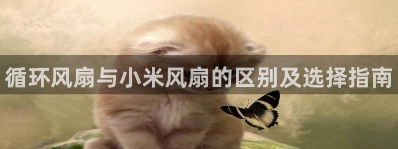 ks8凯发登录网址ios版下载：循环风扇与小米风扇的区别及选择指南