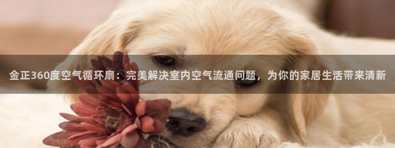 凯发官方手机app：金正360度空气循环扇：完美解决室内空气流通问题，为你的家居生活带来清新