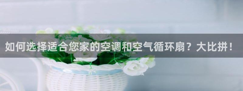 凯发k8手机是正品吗多少钱：如何选择适合您家的空调和空气循环扇？大比拼！