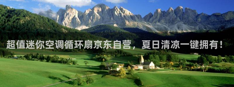 凯发娱乐唯一官网：超值迷你空调循环扇京东自营，夏日清凉一键拥有！