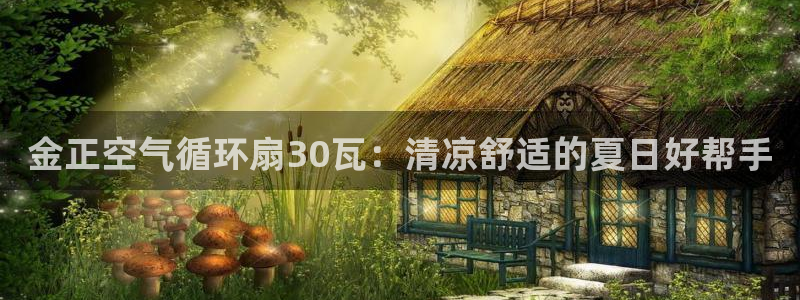 凯发k8国际真人娱乐手机app：金正空气循环扇30瓦：清凉舒适的夏日好帮手