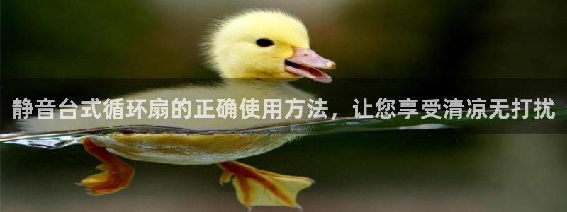凯发就来凯发天生赢家一触即发：静音台式循环扇的正确使用方法，让您享受清凉无打扰