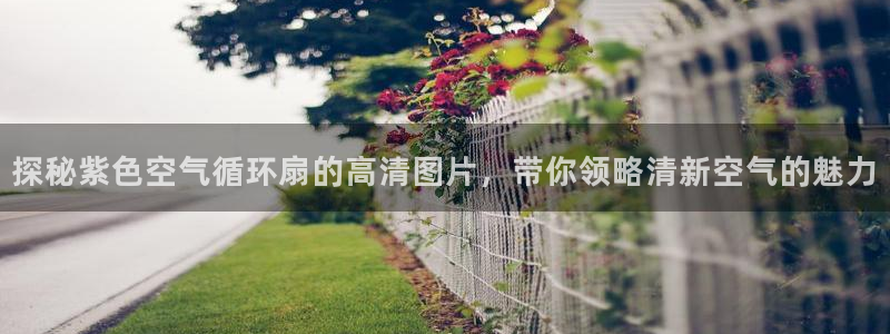 凯发娱网址是什么：探秘紫色空气循环扇的高清图片，带你领略清新空气的魅力