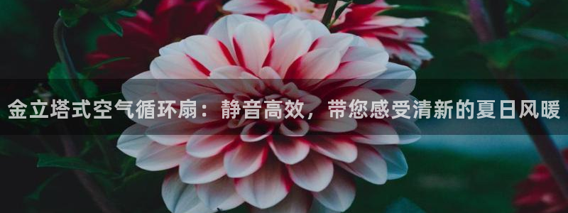 k8凯发国际首页：金立塔式空气循环扇：静音高效，带您感受清新的夏日风暖