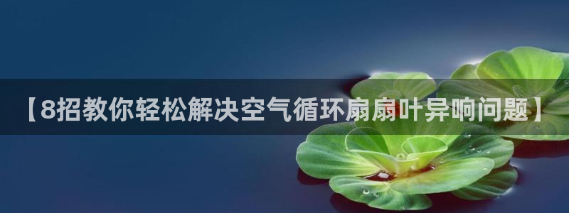 凯发国际app下载：【8招教你轻松解决空气循环扇扇叶异响问题】