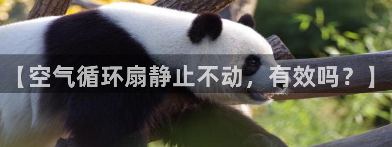 凯发平台轻7O777：【空气循环扇静止不动，有效吗？】