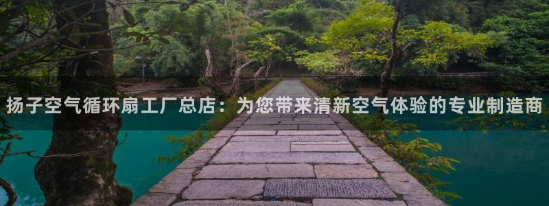 凯发国际网络平台网址：扬子空气循环扇工厂总店：为您带来清新空气体验的专业制造商