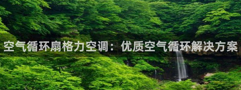 凯发k8ag旗舰厅网址：空气循环扇格力空调：优质空气循环解决方案