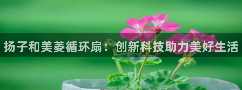 凯发K8天生赢家一触即发：扬子和美菱循环扇：创新科技助力美好生活