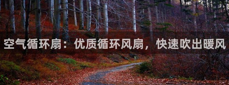 凯发k8官网do选来就送38：空气循环扇：优质循环风扇，快速吹出暖风