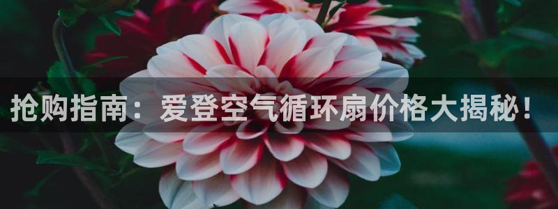 凯发k8天生赢家·一触即发：抢购指南：爱登空气循环扇价格大揭秘！