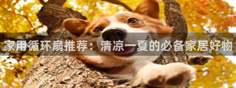 凯发网站是多少：家用循环扇推荐：清凉一夏的必备家居好物
