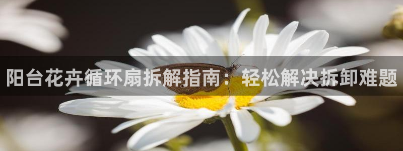 凯发k873：阳台花卉循环扇拆解指南：轻松解决拆卸难题