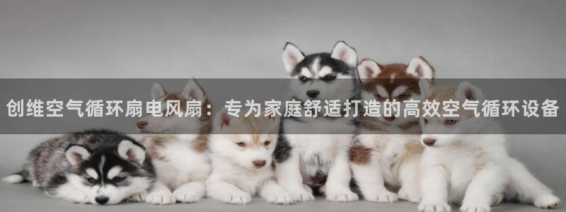 凯发注册网站：创维空气循环扇电风扇：专为家庭舒适打造的高效空气循环设备