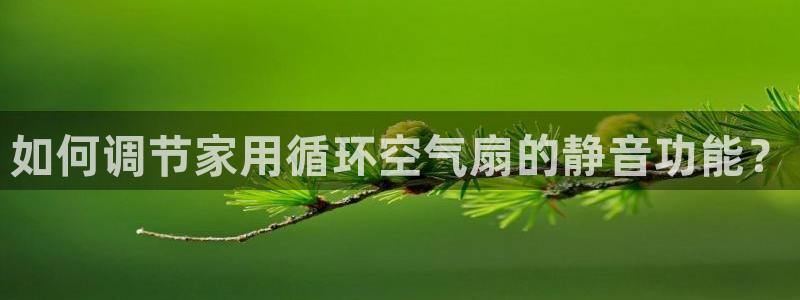 凯发首页登录：如何调节家用循环空气扇的静音功能？