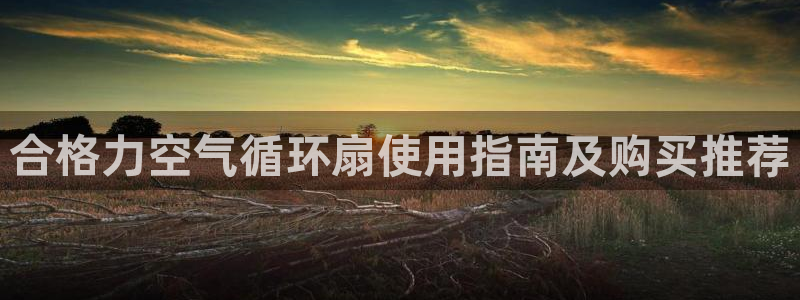凯发k8网站是多少：合格力空气循环扇使用指南及购买推荐