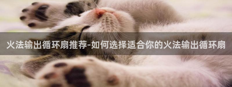 凯发娱网址是什么：火法输出循环扇推荐-如何选择适合你的火法输出循环扇