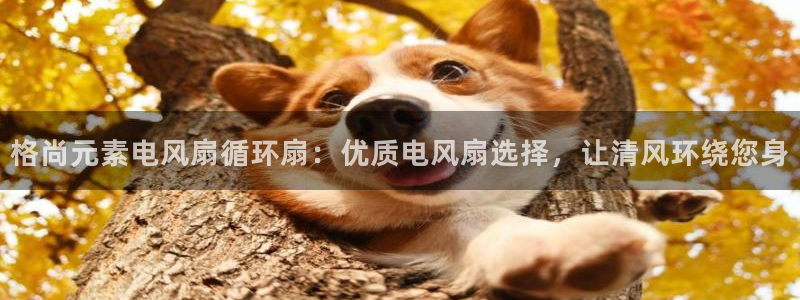 凯发k8app下载：格尚元素电风扇循环扇：优质电风扇选择，让清风环绕您身
