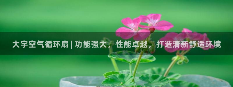 凯发k8娱乐手机版官网：大宇空气循环扇 | 功能强大，性能卓越，打造清新舒适环境