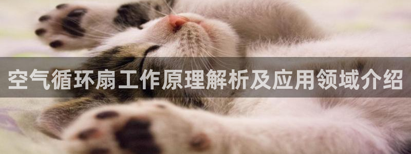 凯发旗舰厅登录免费下载：空气循环扇工作原理解析及应用领域介绍