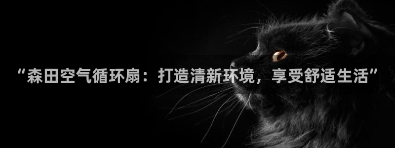 凯发app平台：“森田空气循环扇：打造清新环境，享受舒适生活”