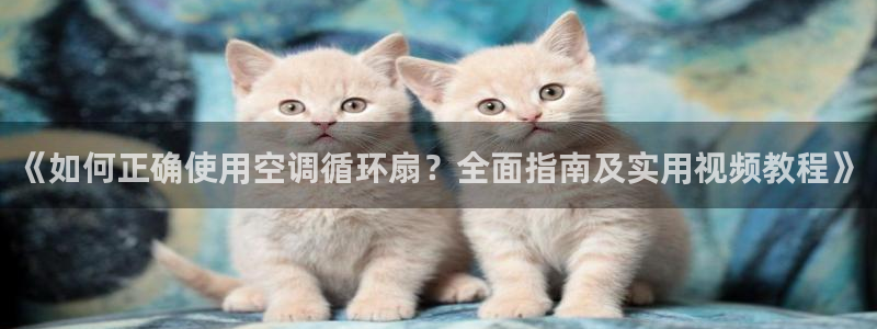 凯发k8客户端：《如何正确使用空调循环扇？全面指南及实用视频教程》