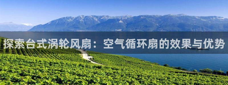 凯发k8娱乐平台：探索台式涡轮风扇：空气循环扇的效果与优势