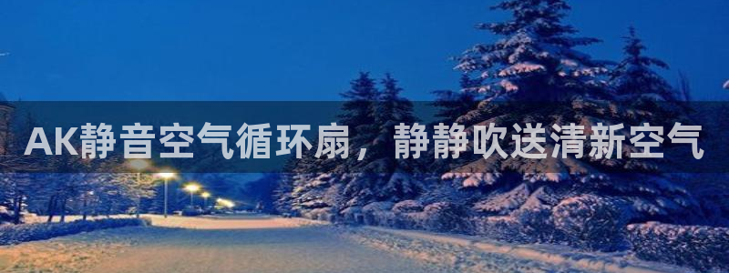 凯发k8娱乐旗舰app下载：AK静音空气循环扇，静静吹送清新空气