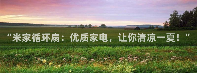 凯发官网平台：“米家循环扇：优质家电，让你清凉一夏！”