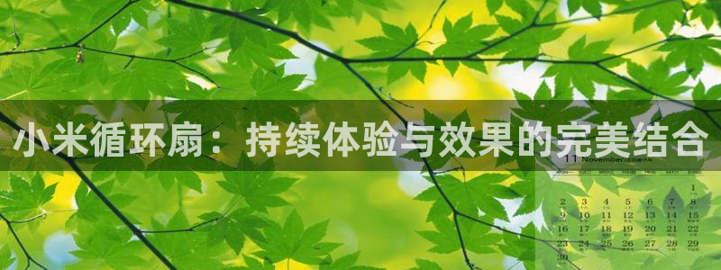 凯发国际怎么赚钱：小米循环扇：持续体验与效果的完美结合