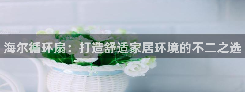 凯发k8娱乐平台下载：海尔循环扇：打造舒适家居环境的不二之选