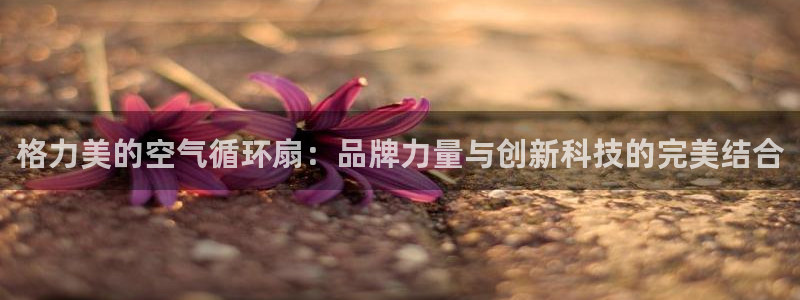凯发是正规平台吗：格力美的空气循环扇：品牌力量与创新科技的完美结合