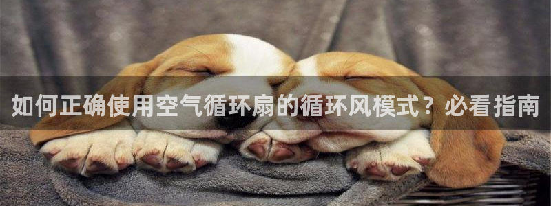 k8凯发是做什么的：如何正确使用空气循环扇的循环风模式？必看指南