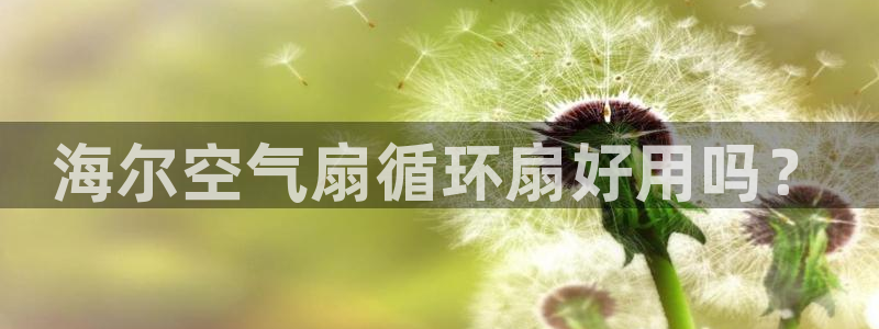凯发国际官网下载：海尔空气扇循环扇好用吗？