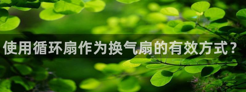凯发正规网站：使用循环扇作为换气扇的有效方式？