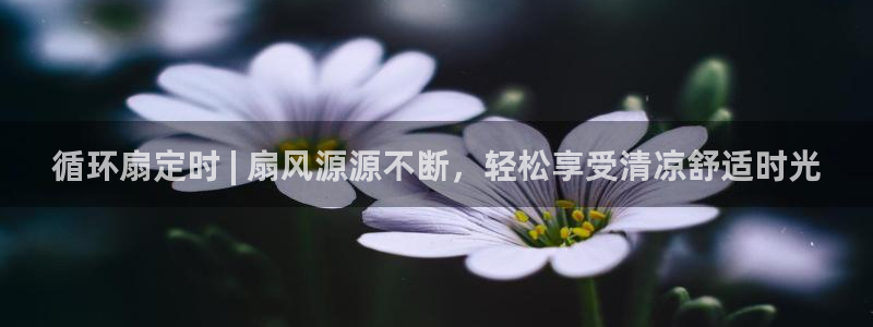 凯发娱乐国际厅：循环扇定时 | 扇风源源不断，轻松享受清凉舒适时光