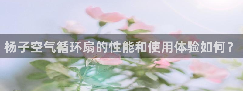 凯发k8ag85856：杨子空气循环扇的性能和使用体验如何？