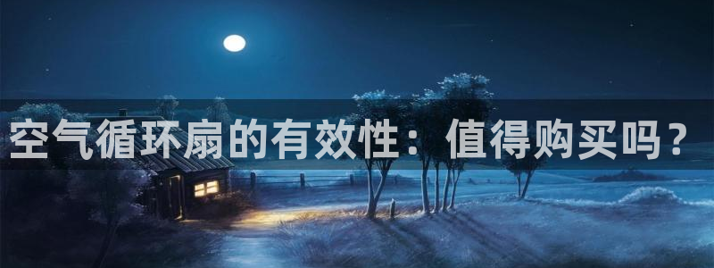 凯发平台网址：空气循环扇的有效性：值得购买吗？