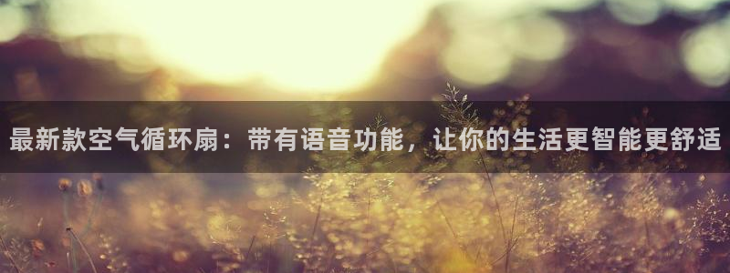 凯发app是干嘛的：最新款空气循环扇：带有语音功能，让你的生活更智能更舒适