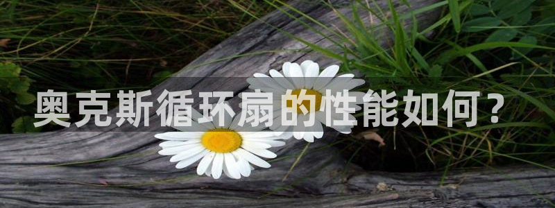 凯发在线官网登录下载：奥克斯循环扇的性能如何？