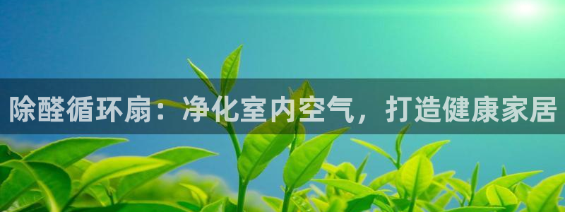 凯发k8娱乐注册登录：除醛循环扇：净化室内空气，打造健康家居