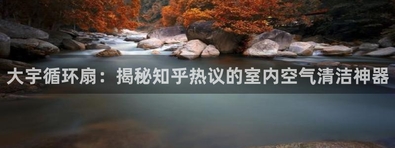 凯发国际平台官网：大宇循环扇：揭秘知乎热议的室内空气清洁神器