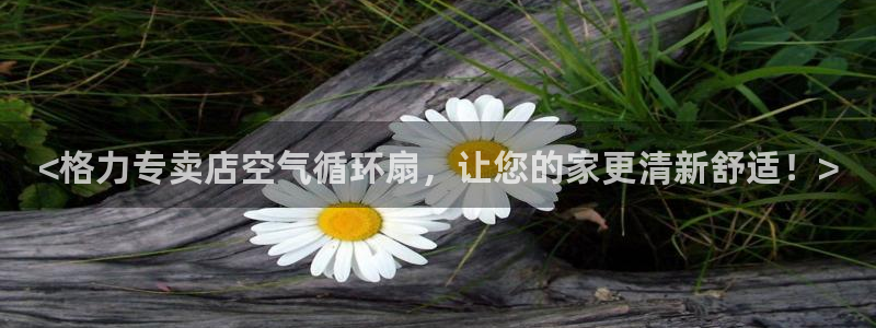 凯发k8国际不能提款了吗：<格力专卖店空气循环扇，让您的家更清新舒适！>