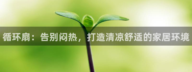 凯发k8娱乐平台：循环扇：告别闷热，打造清凉舒适的家居环境